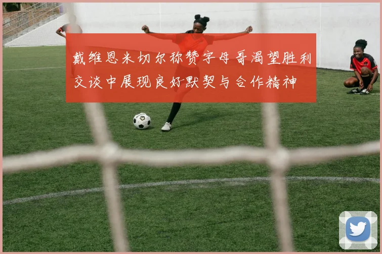 戴维恩米切尔称赞字母哥渴望胜利交谈中展现良好默契与合作精神